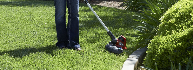 Best Toro String Trimmer